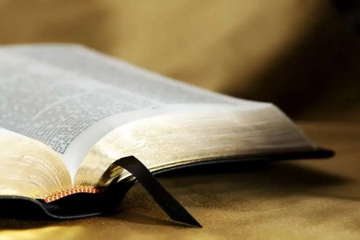 7 Things the Bible Says About Seeking God
