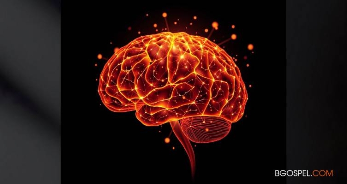 Prayer and the Brain: The Incredible Discoveries of Neuroscience